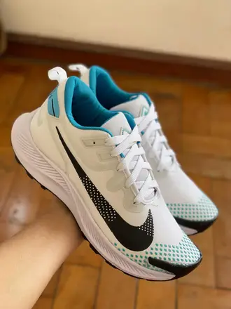 Nike Pegasus