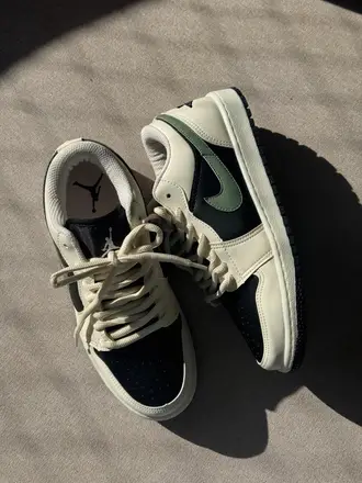 Jordan Dunk